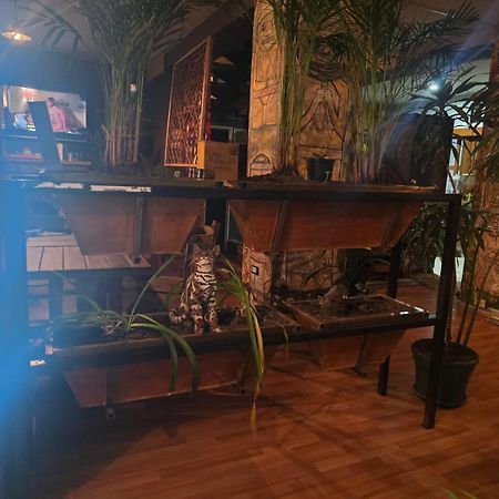 Portelli Hostal Zona G- Para Extranjeros Bogotá Dış mekan fotoğraf