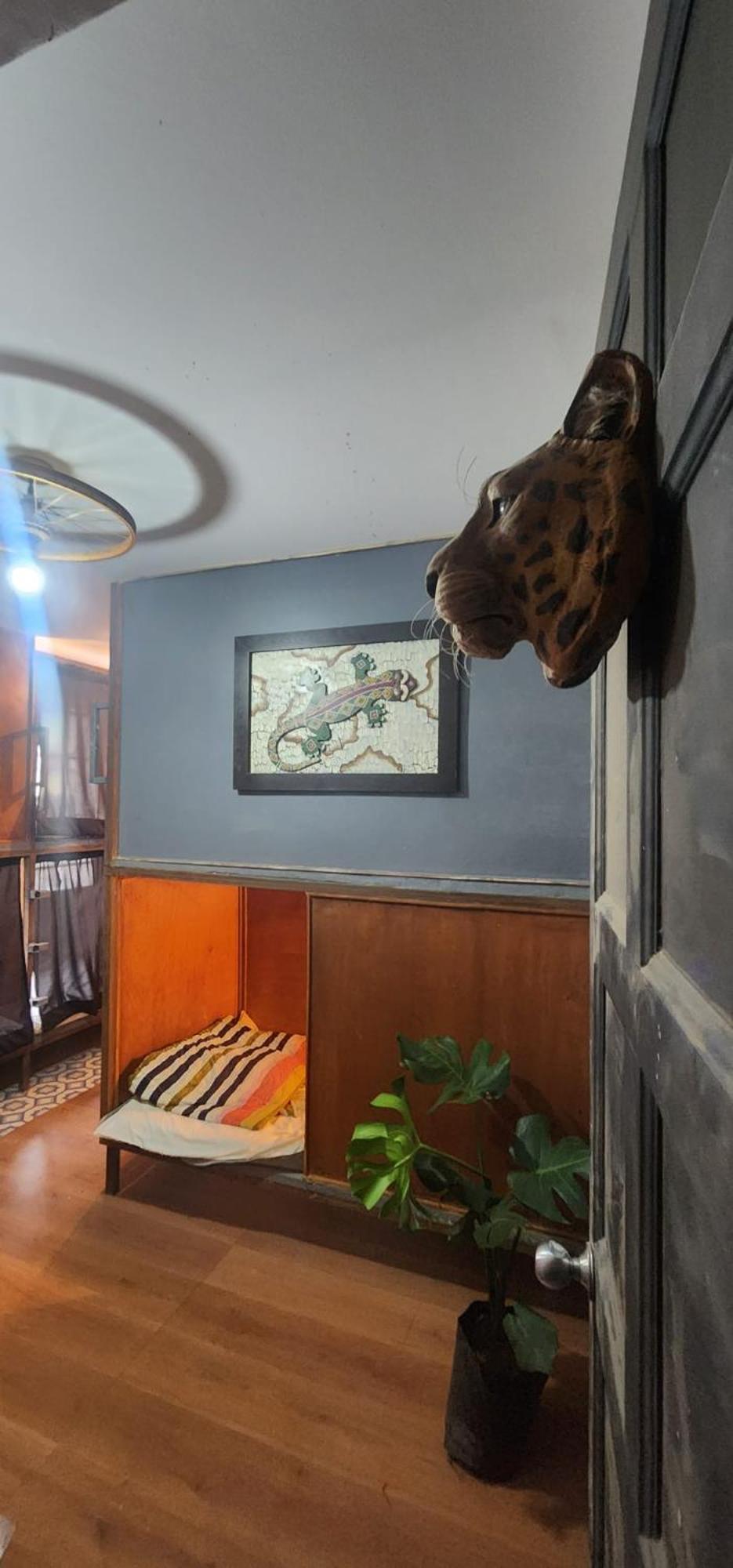 Portelli Hostal Zona G- Para Extranjeros Bogotá Dış mekan fotoğraf