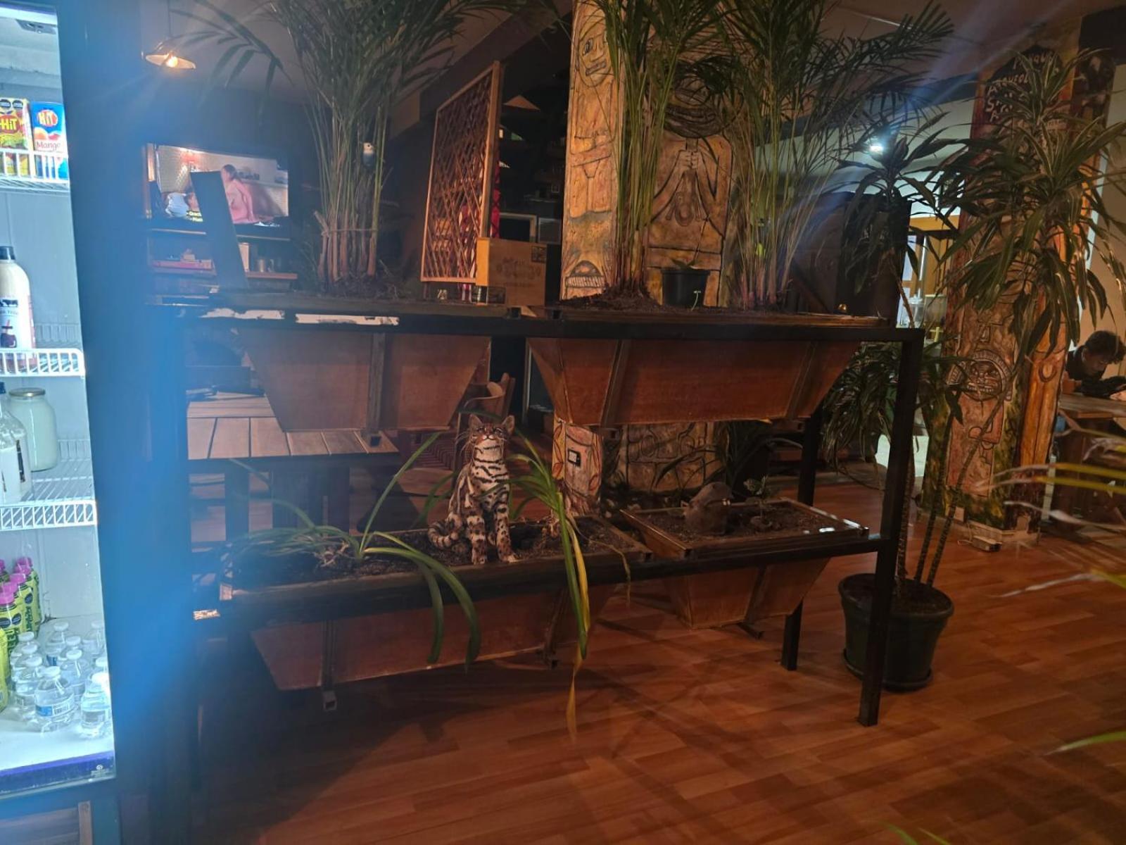 Portelli Hostal Zona G- Para Extranjeros Bogotá Dış mekan fotoğraf