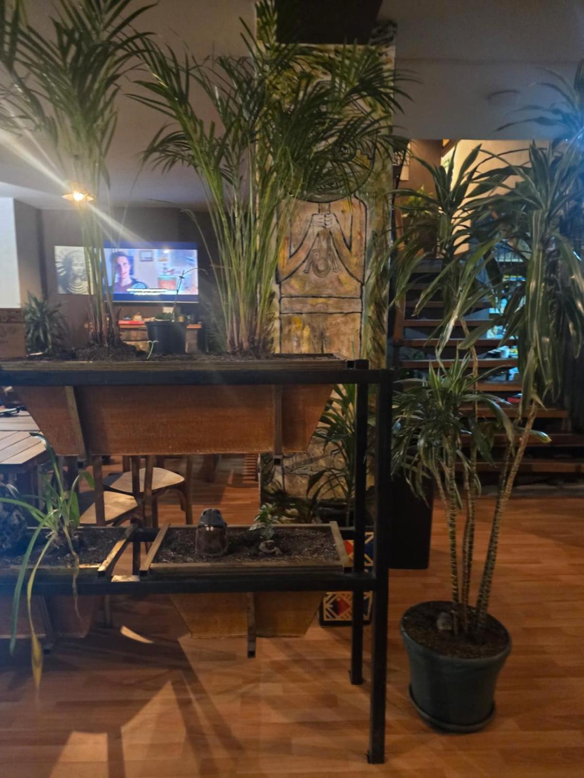 Portelli Hostal Zona G- Para Extranjeros Bogotá Dış mekan fotoğraf