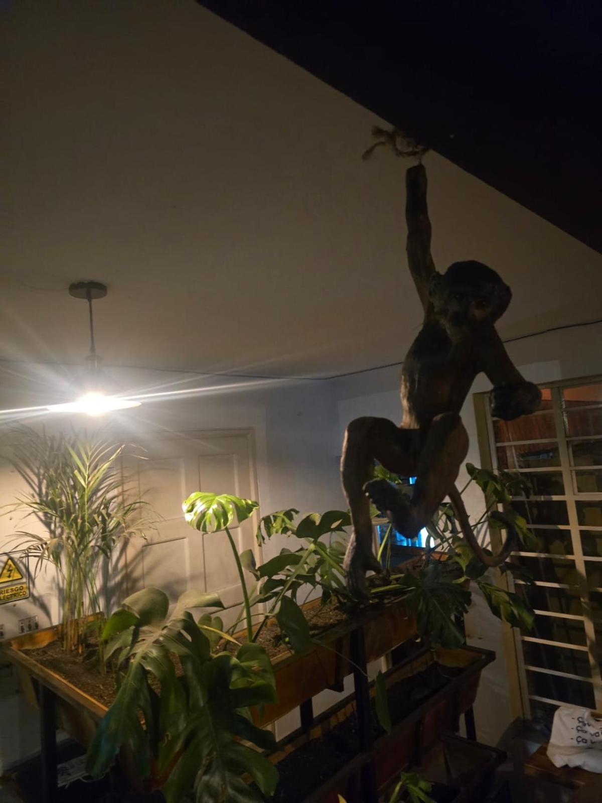 Portelli Hostal Zona G- Para Extranjeros Bogotá Dış mekan fotoğraf