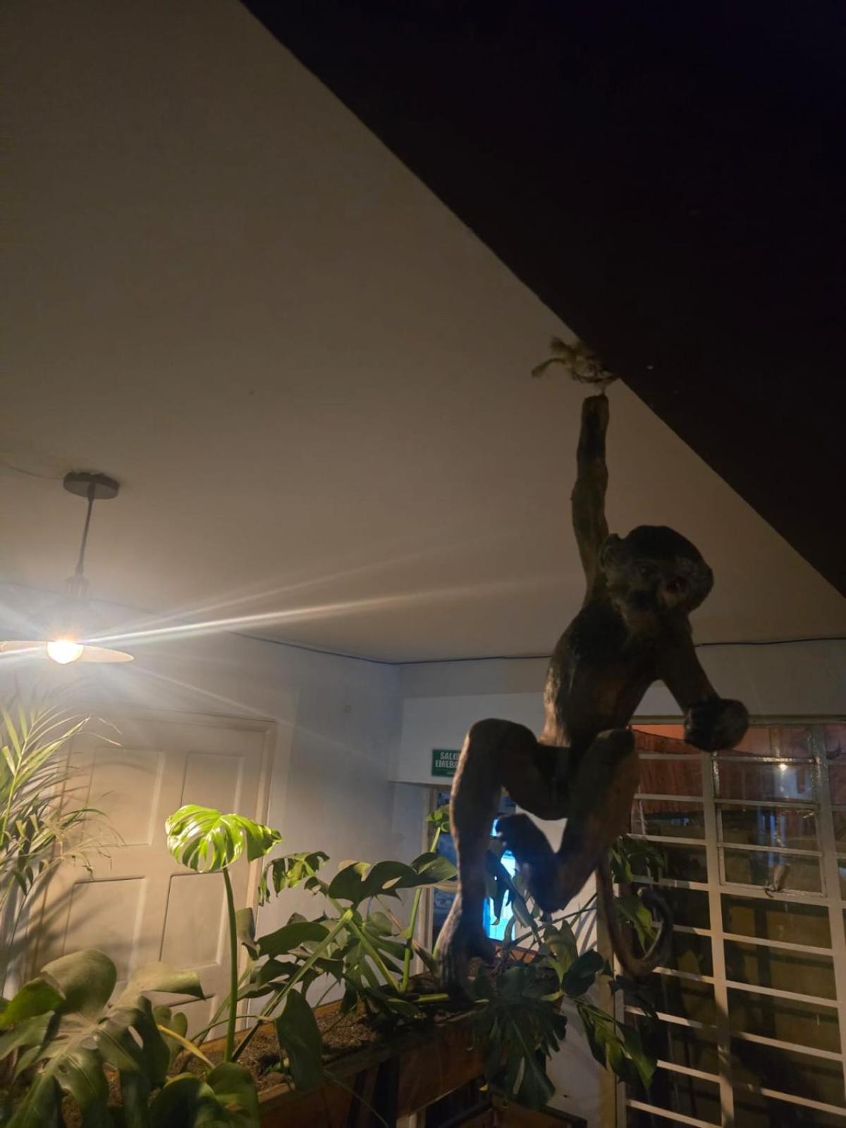 Portelli Hostal Zona G- Para Extranjeros Bogotá Dış mekan fotoğraf